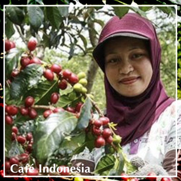Café Indonesia Kalossie 250gr