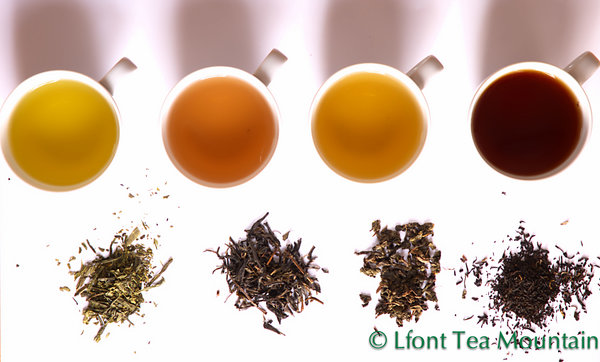 Selección de tipor de té en Lfont tea Mountain